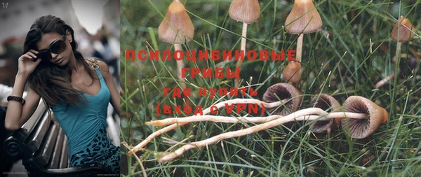 MDMA Осташков