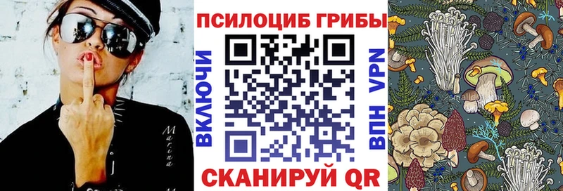 Купить закладки  Костомукша  Псилоцибиновые грибы мухоморы 